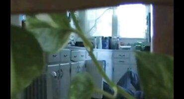 Strastveni lezbijskog seksa dvije porno hrvatski film junice sa seks-igračkama